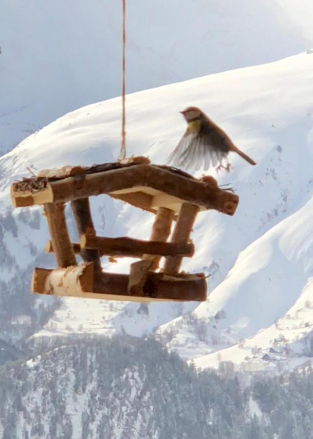 Chalet Lodge Oberig Exclusive Villard-Reculas Extérieur photo